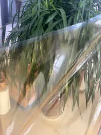 Eigenschaften und Anwendungen von transparenter gelber BOPET-Folie in Lebensmittel-, Getränke-, Elektronik- und Hardwareverpackungen