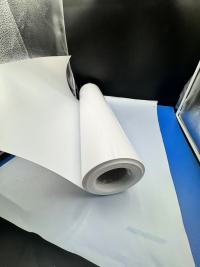 PS-Folie: Die vielfältigen Eigenschaften und Anwendungen von weißer PS-Blisterfolie