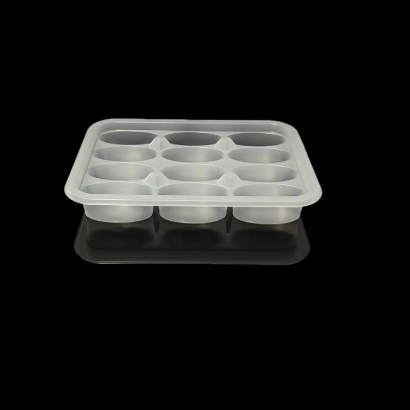 Blister Food-grade PP Tray