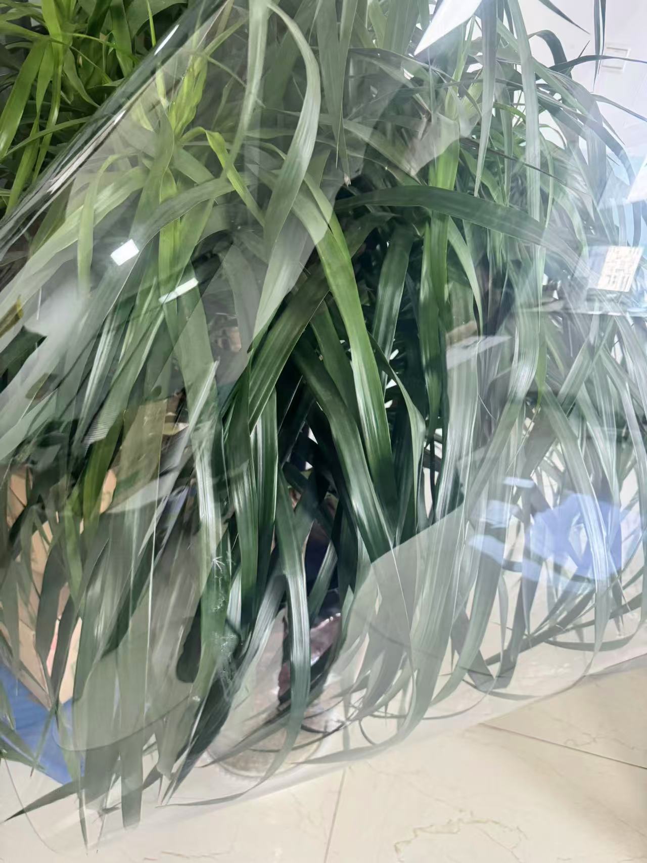 Transparent PVC film