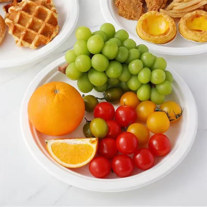 PLA film biodegradable plates