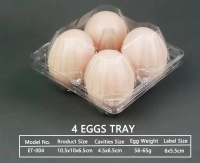 Универсальная роль прозрачной ПЭТ-пленки в современных упаковочных решениях