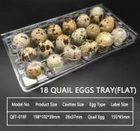 Универсальная роль прозрачной ПЭТ-пленки в современных упаковочных решениях