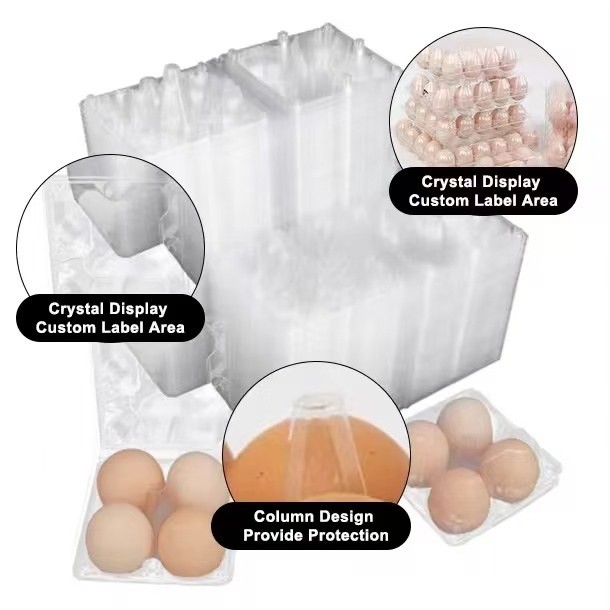 Универсальная роль прозрачной ПЭТ-пленки в современных упаковочных решениях
