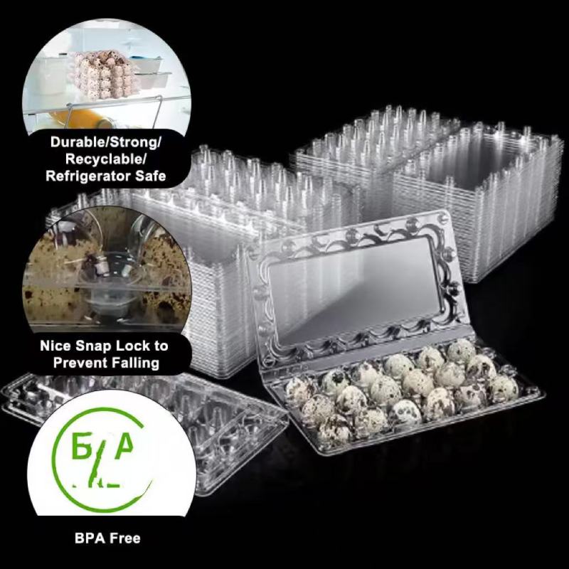 Универсальная роль прозрачной ПЭТ-пленки в современных упаковочных решениях