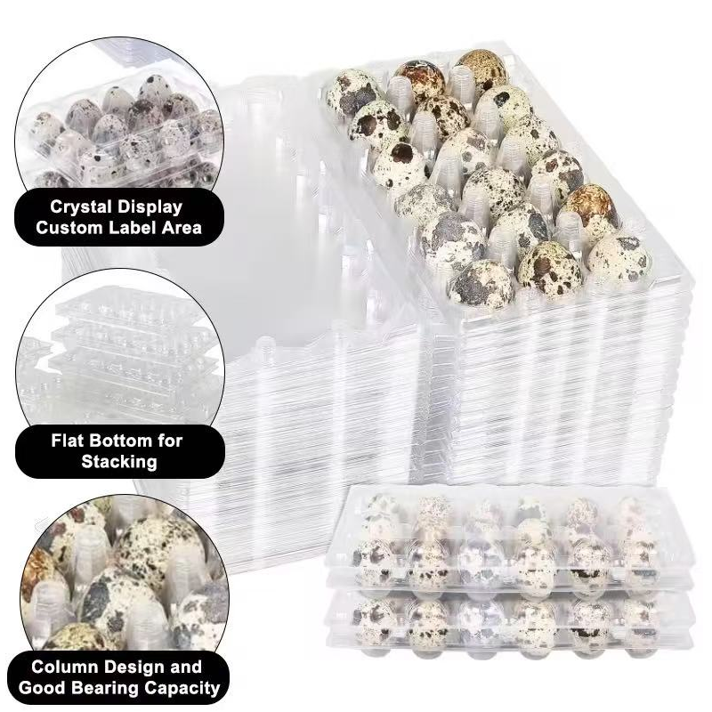 Универсальная роль прозрачной ПЭТ-пленки в современных упаковочных решениях