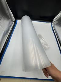 Enthüllung der Eigenschaften und vielfältigen Anwendungen transparenter PP-Folie