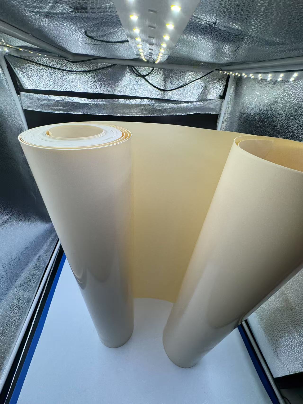 PLA film compostability