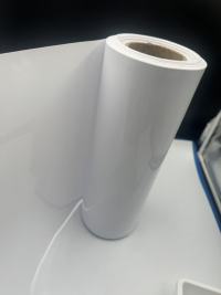 Descubriendo la versatilidad de la película PET blanca: propiedades y aplicaciones