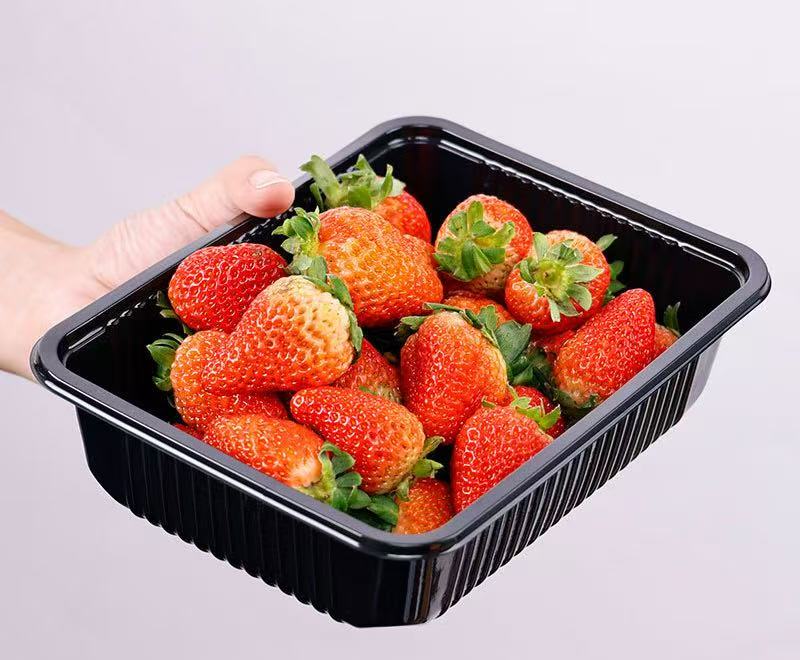 Transparent food packaging Transparent food packaging
