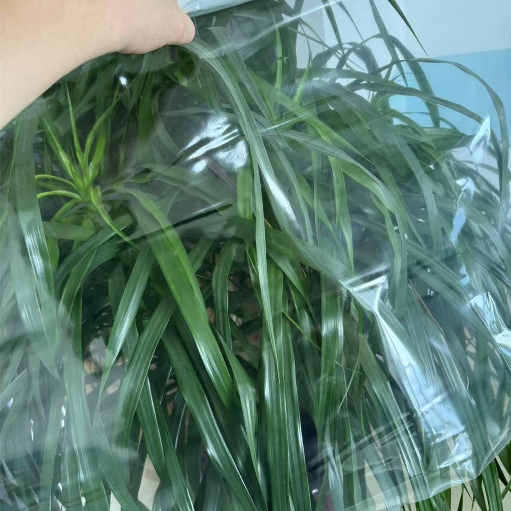 Pape Barrier Film