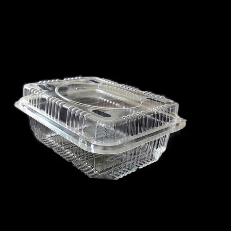 BOPS Food Tray/Box for snacks