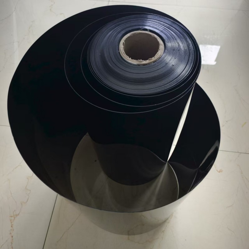 Màng PET/EVOH màu đen dùng cho khay đựng thực phẩm