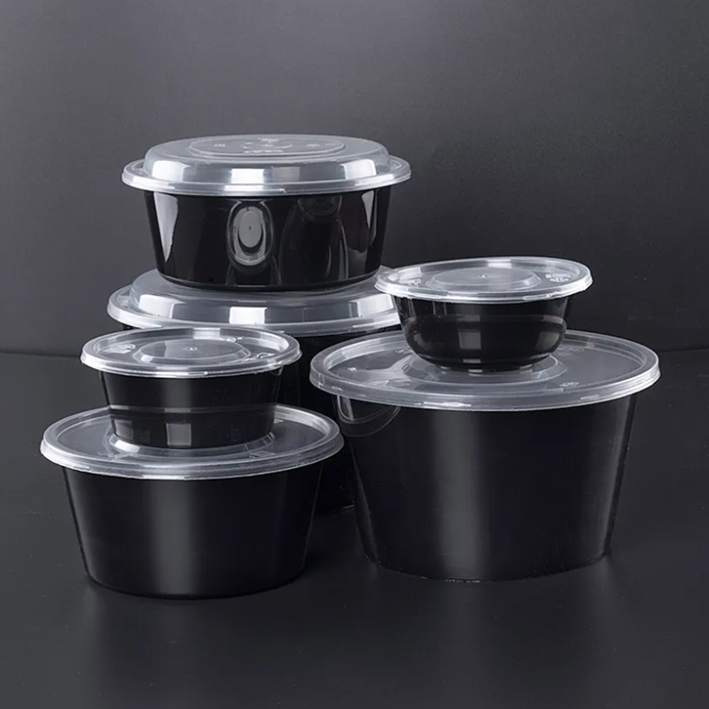 Plastic Sushi Box