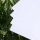 PVDC/PVC Film: The Gold Standard in Pharmaceutical Packaging
