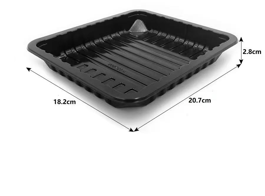 PP Tray Packaging