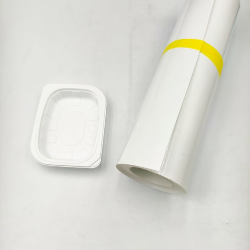 PP Rigid Film for Blister Food Tray