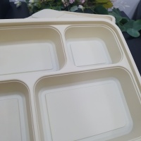 biologisch abbaubare Einweg-Lunchbox mit Deckel