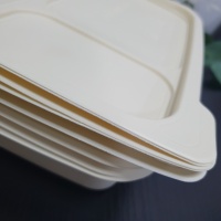 biologisch abbaubare Einweg-Lunchbox mit Deckel