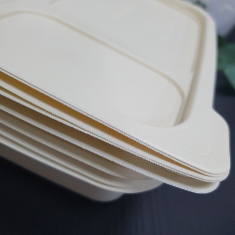 biologisch abbaubare Einweg-Lunchbox mit Deckel