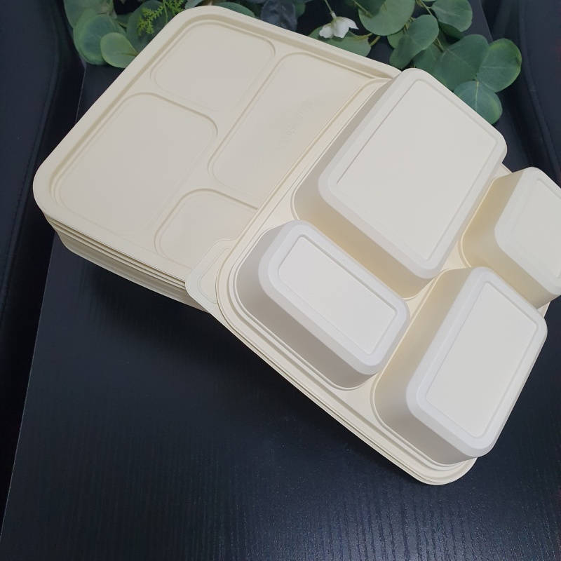 biologisch abbaubare Einweg-Lunchbox mit Deckel