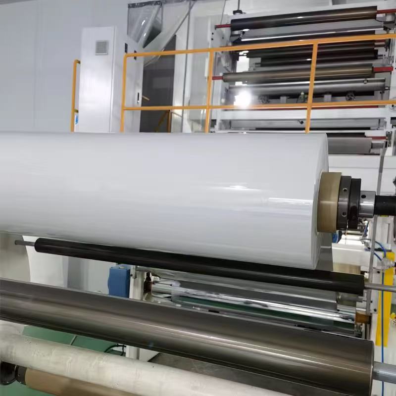 PS film food vacuum packaging