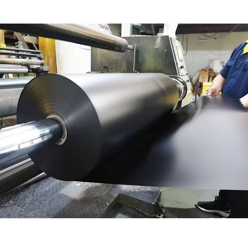 Black PVC film food blister packaging