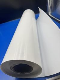 La claridad y versatilidad de la película PET transparente en soluciones de envasado modernas