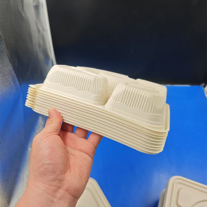 PLA disposable lunch box