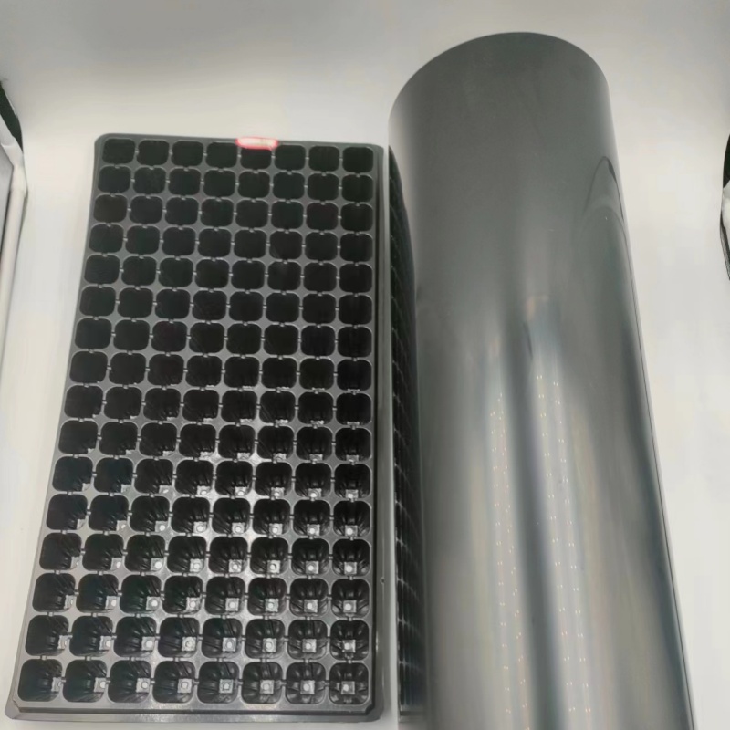 Polystyrene Rigid HIPS Film
