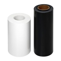 Film plastique rigide en polypropylène thermoformé