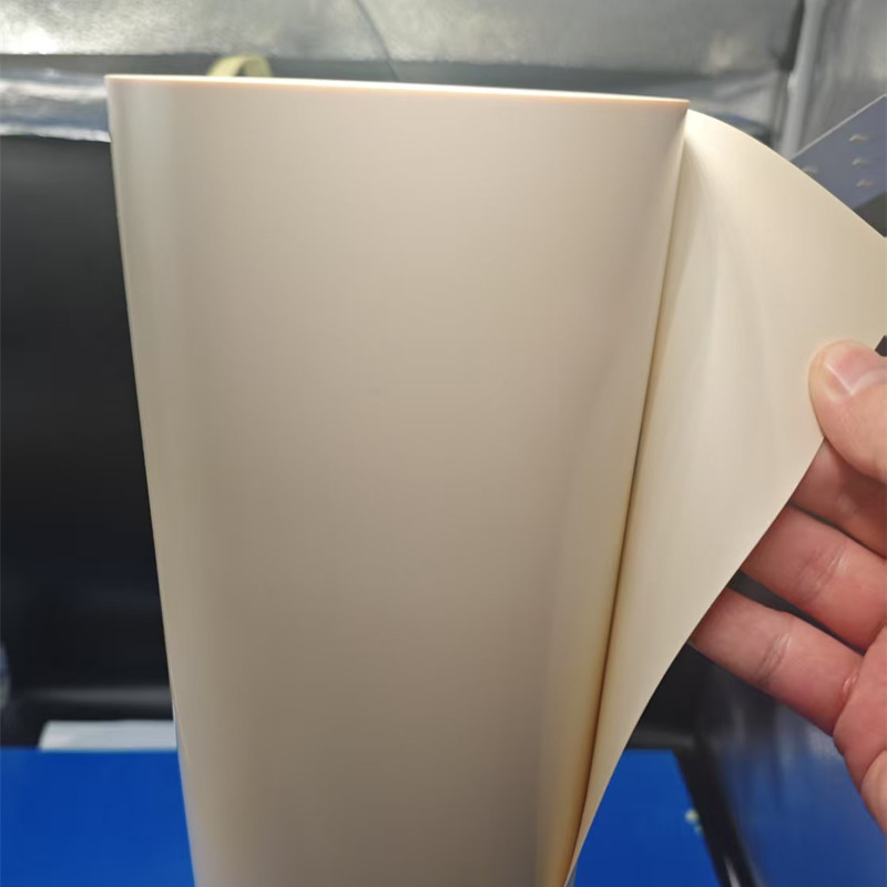 Biodegradable PLA sheet