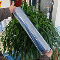 Lámina de PVC transparente de 0,35 mm para blíster