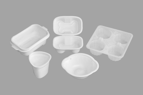 Caja de comida desechable de PP