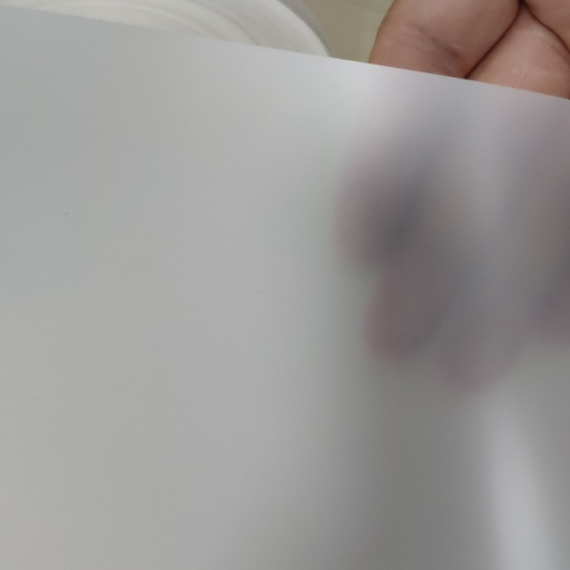Bio-based, compostable, biodegradable PLA white roll