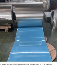 3-слойни Специалист по икономически въпроси/СЪРЛИН фолиа: Пазител на издръжливостта и яснотата