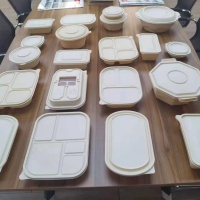 Kotak makan tengah hari boleh terbiodegradasi, kotak makan tengah hari pakai buang hotel, bekas bawa pulang tiga petak.