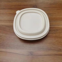 Kotak makan tengah hari boleh terbiodegradasi, kotak makan tengah hari pakai buang hotel, bekas bawa pulang tiga petak.