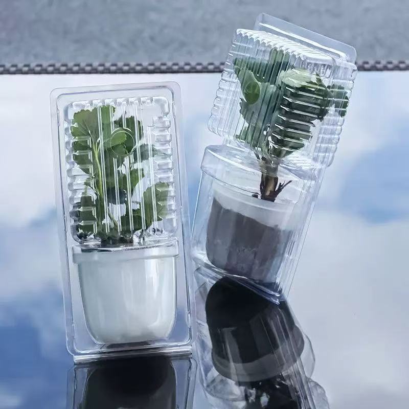 PET Blister Packaging Film