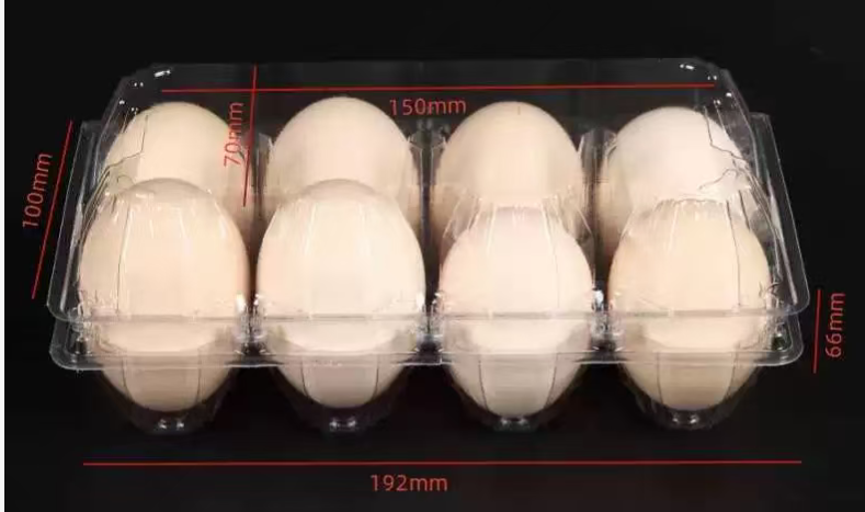 PET Blister Packaging Film