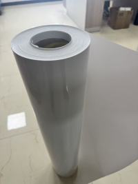 HIPS PS OPS Raziskovanje edinstvenih lastnosti in široke uporabe folije HIPS/PS