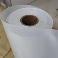 White, translucent PLA film, compostable and biodegradable