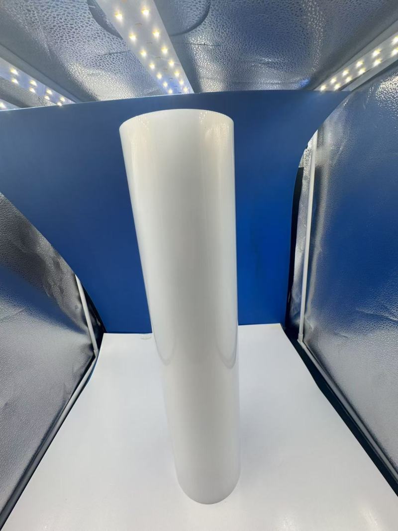 pp food trays pp microwave plate , food meat tray