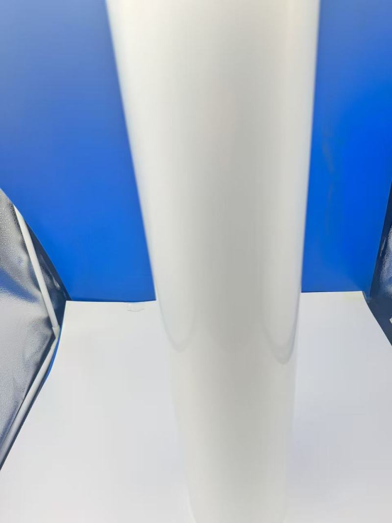 Многослойная пленка ПП/EVOH/ПП незаметно завоевала рынок современной упаковки пищевых продуктов