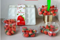 L'étoile étincelante des emballages éphémères : pourquoi le film BOPS transparent brille encore de mille feux