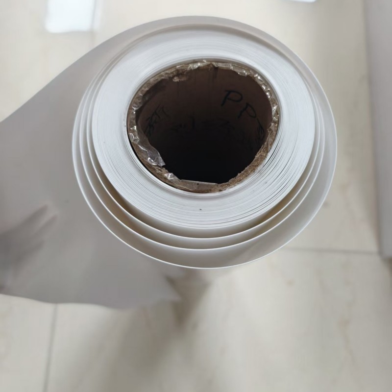 HIPS Rigid Sheet Roll HIPS Rigid Sheet Roll