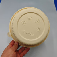 PLA food containers Eco-friendly
