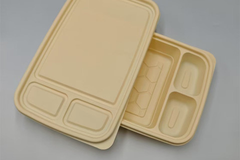 Biodegradable PLA food meal box