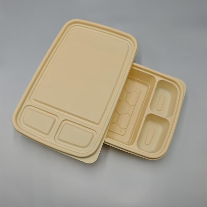 Biodegradable PLA box