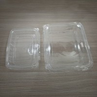 Hinged Clamshell PET Salad Transparent Box Container Bowl